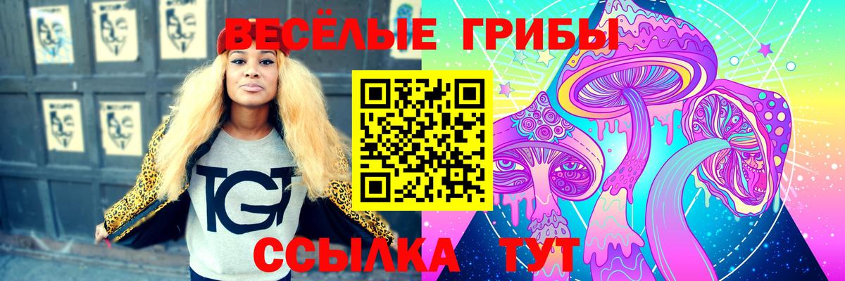 Кулебаки  Галлюциногенные грибы Psilocybine cubensis  Галлюциногенные грибы Psilocybe  Вход с VPN 